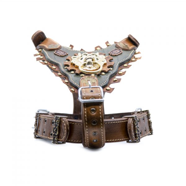 Exclusieve Handgemaakte Lederen Pawgarden Tuigen - Bald Gladiator Shield