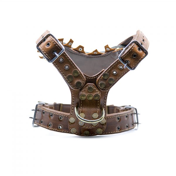 Exclusieve Handgemaakte Lederen Pawgarden Tuigen - Bald Gladiator Shield