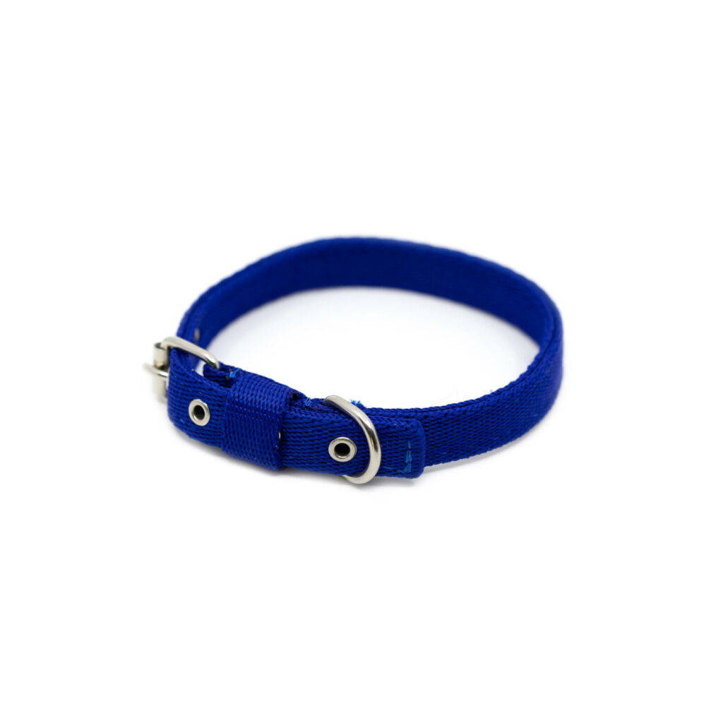 Nylon Puppy Halsband - Blauw
