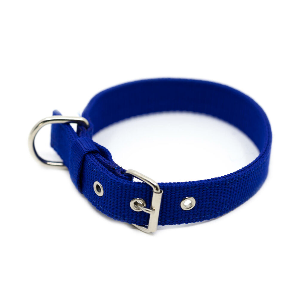 Nylon halsband - Blauw (Small)