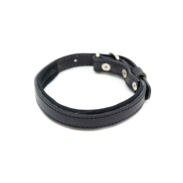 Lederen Puppy Halsband - Zwart