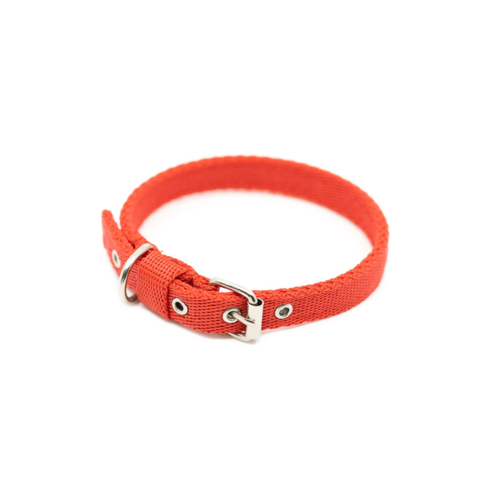 Nylon Puppy Halsband - Rood