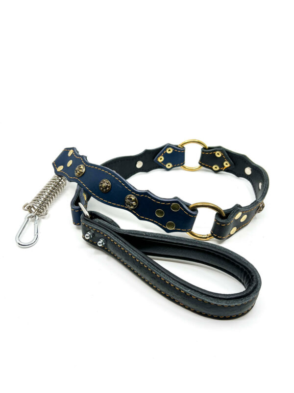 Pawgarden Complete Set Halsband & Leiband - Simba