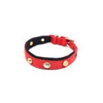 Nylon Puppy halsbanden