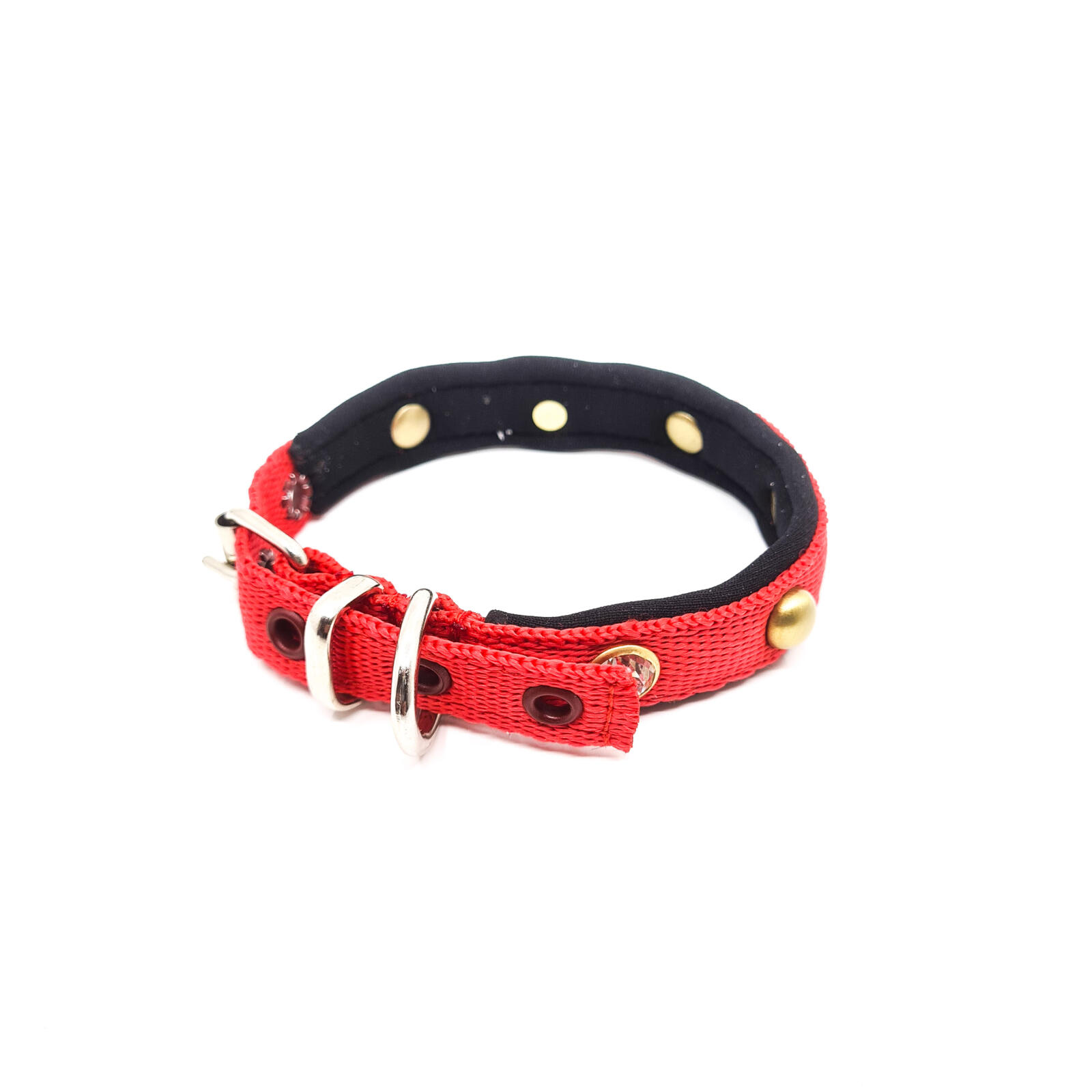 Bestel online, beste kwaliteit nylon halsband voor puppy bij Pawgarden!