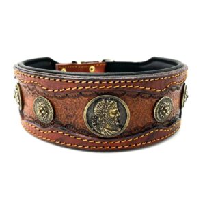 Pawgarden Halsbanden - Caesar's belt