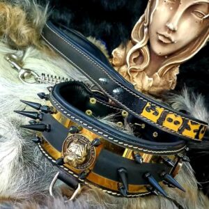 Lederen halsband - Black & Gold