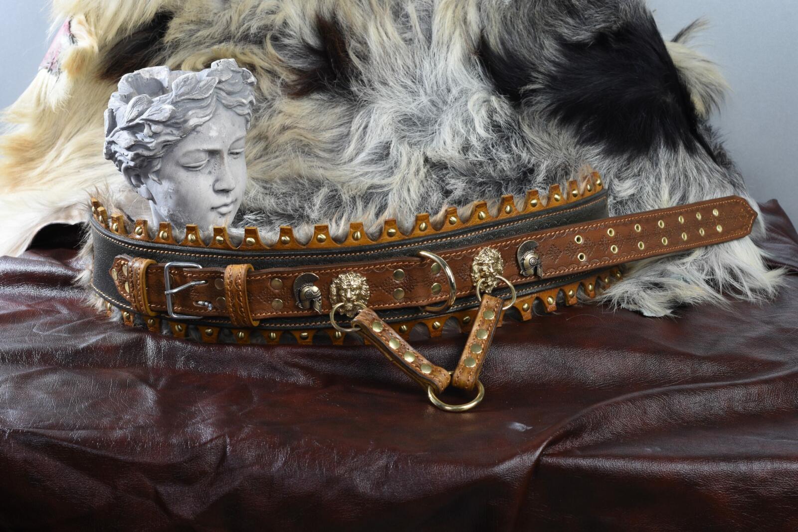 ring Gorgelen Gebruikelijk Exclusieve Handgemaakte Lederen Hondenhalsband Met Handvat – Gladiator -  Pawgarden